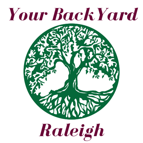 Your Back Yard Idea 2